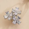 Women Versona Cluster Clip On Earrings
