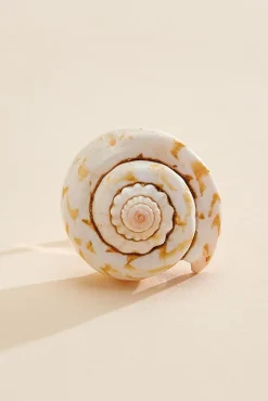 Women Versona Large Shell Ring